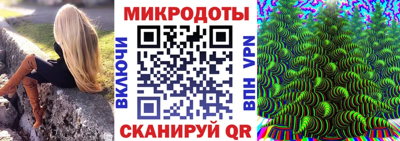 закладки  Старая Русса  Псилоцибиновые грибы MAGIC MUSHROOMS 
