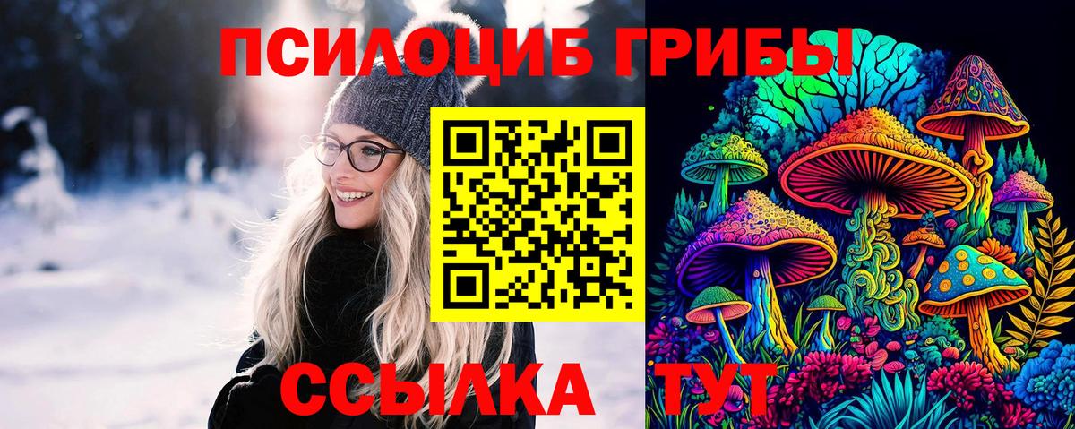 Галлюциногенные грибы прущие грибы Старая Русса