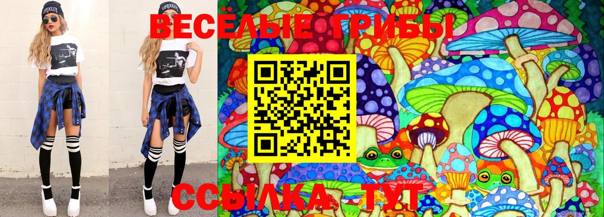 Старая Русса  Псилоцибиновые грибы мухоморы  Псилоцибиновые грибы Psilocybe  Вход с VPN 